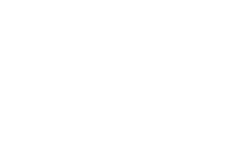 Cambria Press